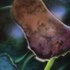 Thumbnail for season 3 episode 12