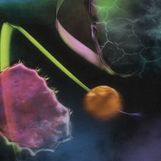 Thumbnail for season 3 episode 4