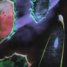 Thumbnail for season 3 episode 5