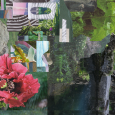 Thumbnail for season 4 episode 2