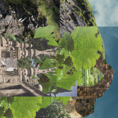 Thumbnail for season 4 episode 5