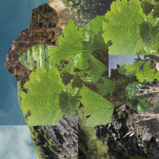 Thumbnail for season 4 episode 8